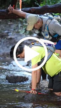 BIB:  <button type="button" onclick="openModal(27799512)" class="btn btn-primary btn-sm float-right" data-toggle="modal" data-target=".modal-high-quality">
                <i class="fa fa-download"></i> Download
                </button>